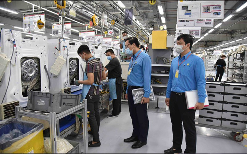 Lợi ích vượt trội khi đầu tư vào cáp chất lượng cao