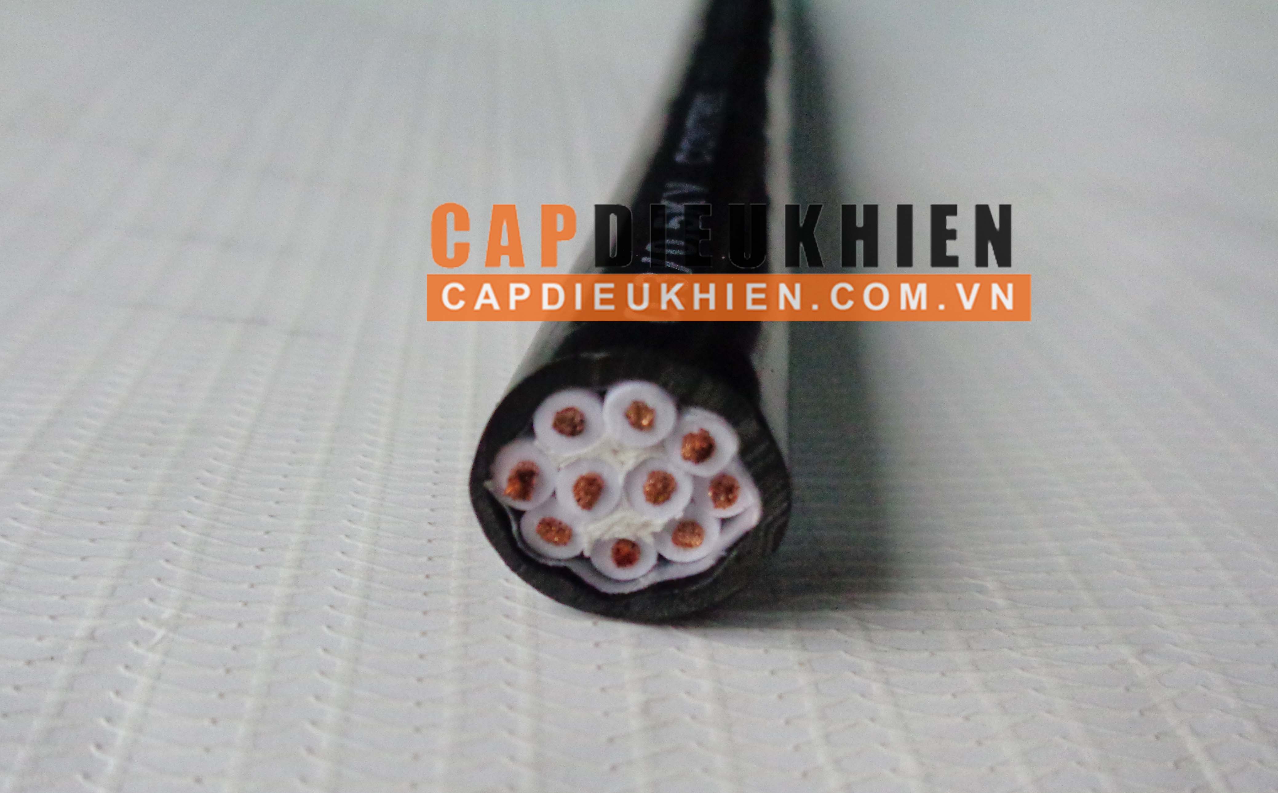 Cáp điều khiển có lưới SangJin 10C x 1.25 SQmm